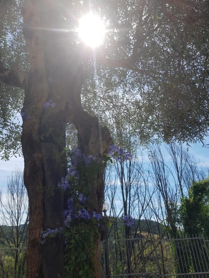 Casa Luigina Villa Vezzola Dış mekan fotoğraf