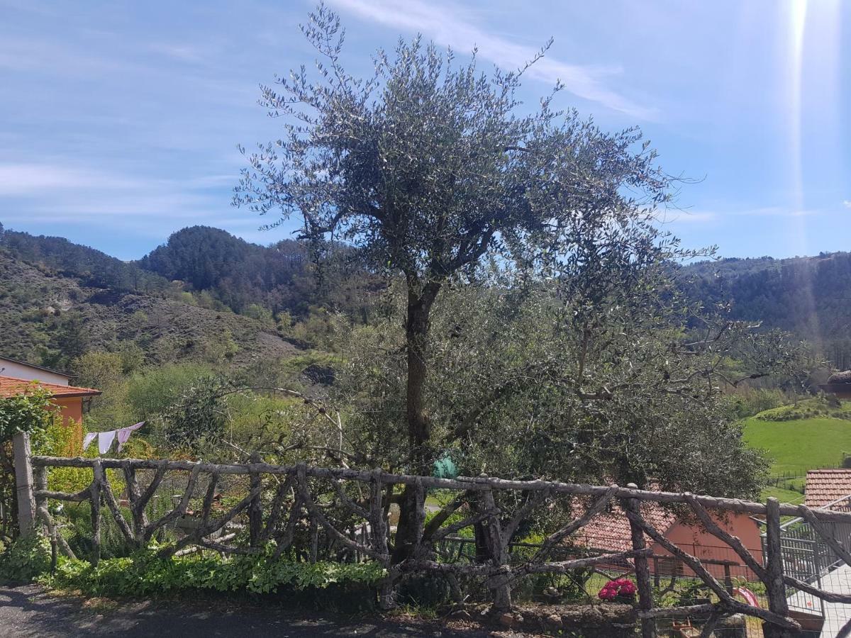 Casa Luigina Villa Vezzola Dış mekan fotoğraf